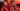 Fred Vasseur en Charles Leclerc Ferrari